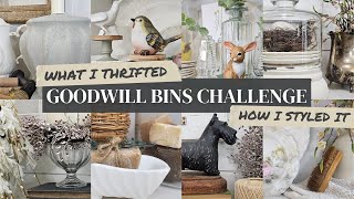 What I thrifted & how I styled it •  Goodwill bins challenge • Thrifted home decor #thriftedvstyled