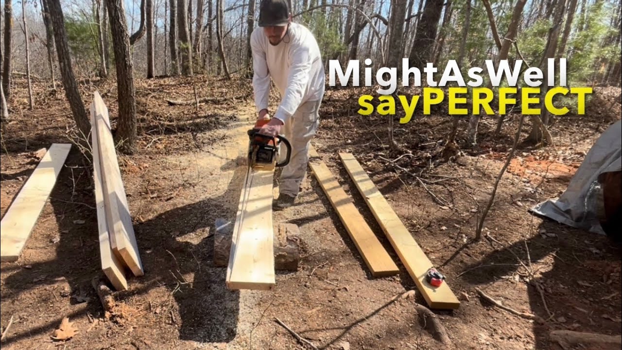 Cutting Strait Edges Like a Pro Stihl MS 310, 32” Bar - YouTube