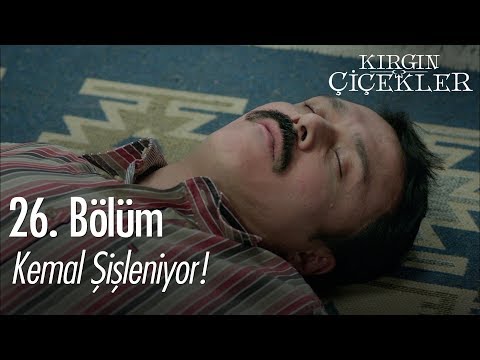 Kemal şişleniyor! - Kırgın Çiçekler 26. Bölüm