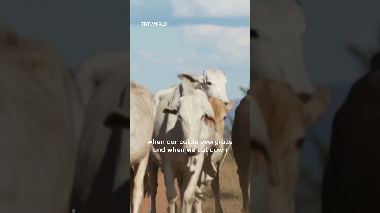 Пустыни расширяются – вот почему.