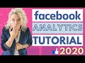 Facebook Analytics Tutorial 2020 | 5 Insights You NEED to Track!