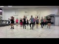 I Wanna Dance with Somebody (coreografia)