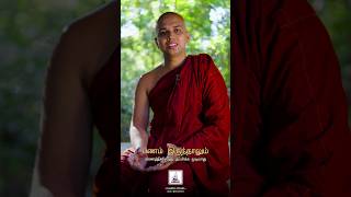 பணம் மரணத்தை வெல்லுமா?#DharmaYathra #UpathissaThero #Impermanence #DeathReal #shorttamil #shorts