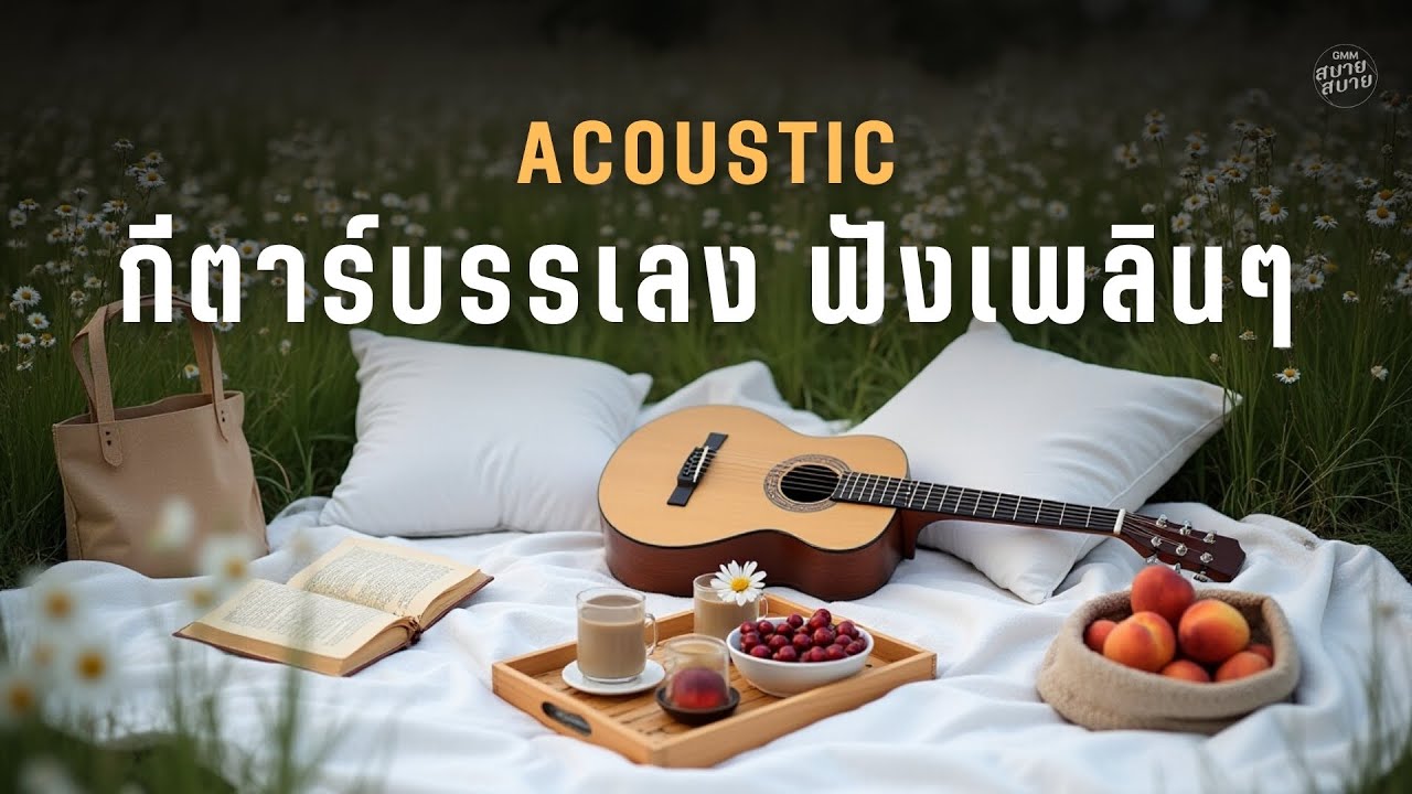 Acoustic กีตาร์บรรเลง ฟังเพลินๆ