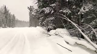 snowy winter forest road!