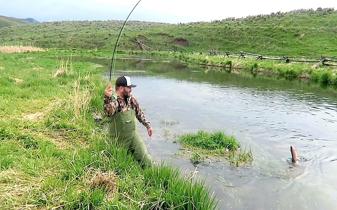 FLY FISHING FOR CUTTHROAT TROUT YouTube