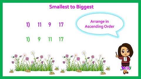 Maths Assessment / Ascending / Descending order / Grade1 Grade2 Primary Kids Educational Videos