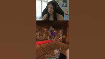 POV: Your Friend Wants To Add "Lore" To The Minecraft Server...