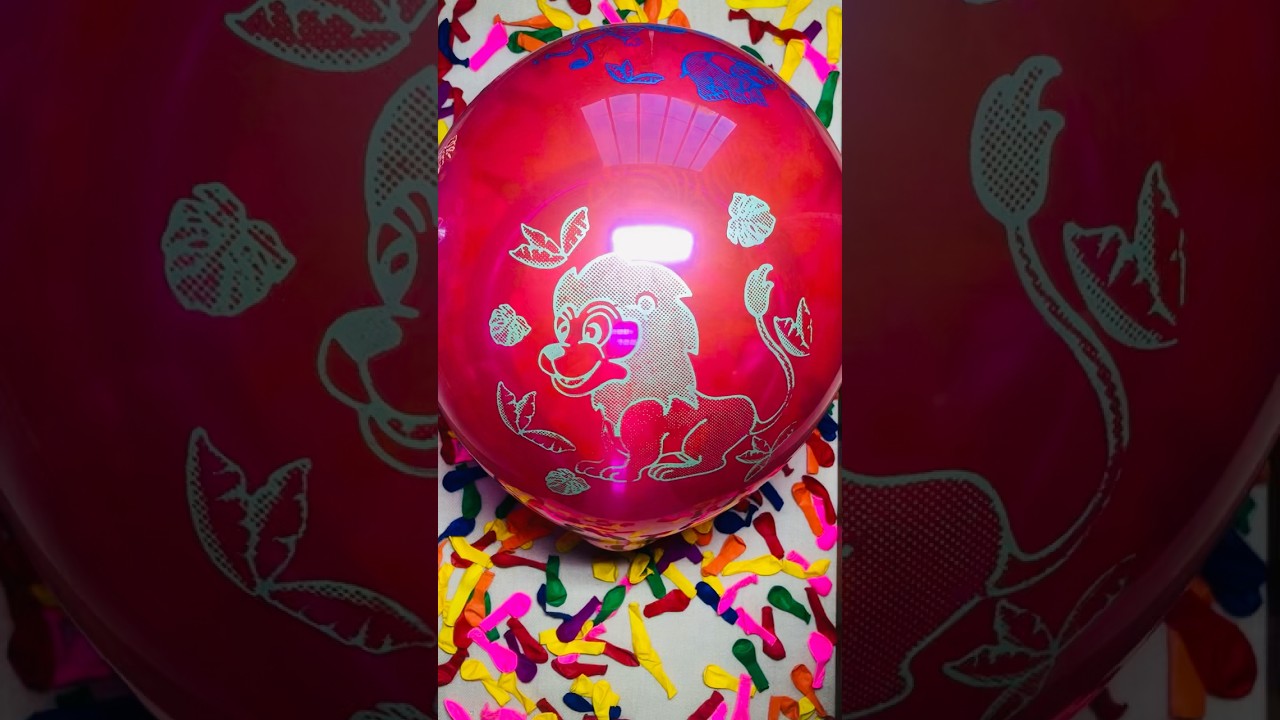 Red Animal Balloon || Blow To Pop Balloons || SloMo 🔴🐾💥 
