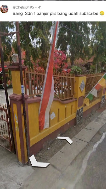 Panjer ini beneran ada.. #shorts #shots