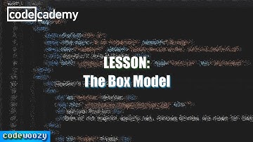 The Box Model | Learn CSS | Codecademy Walkthrough
