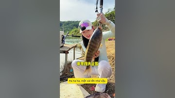 Anh chủ hồ khinh thường em gái câu cá và cái kết ! #fishing #cauca