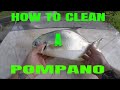 HOW TO CLEAN A POMPANO