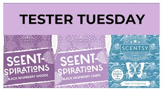 Tester Tuesday Black Raspberry Woods, Black Raspberry Linen and Open Air Exploring (Scentsy Reviews