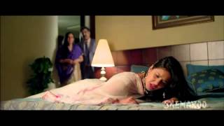 Bha Ji In Problem (2013)