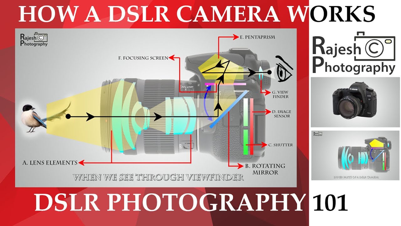 how a dslr camera work youtube how dslr works
