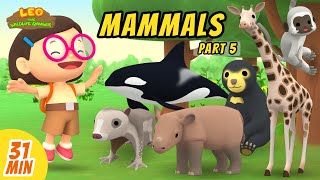 Mammals Minisode Compilation (Part 5/5)  Leo the Wildlife Ranger | Animation | For Kids