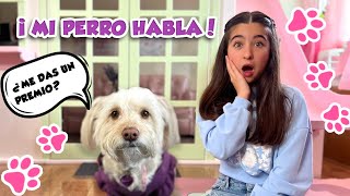 MI PERRO HABLA !! 🐶❤️ by LARA CAMPOS 1,521,499 views 2 months ago 13 minutes, 6 seconds