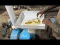 Turmeric Grinding Machine , Impec Pulverizer,Haldi Pisne ki Machine, Spice Masala Turmeric Grinder