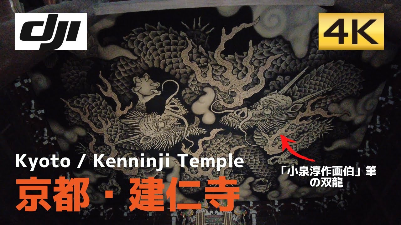 大迫力】小泉淳作画伯筆の双龍は必見！│Kyoto Kenninji temple│京都 