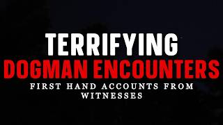 TERRIFYING DOGMAN ENCOUNTERS
