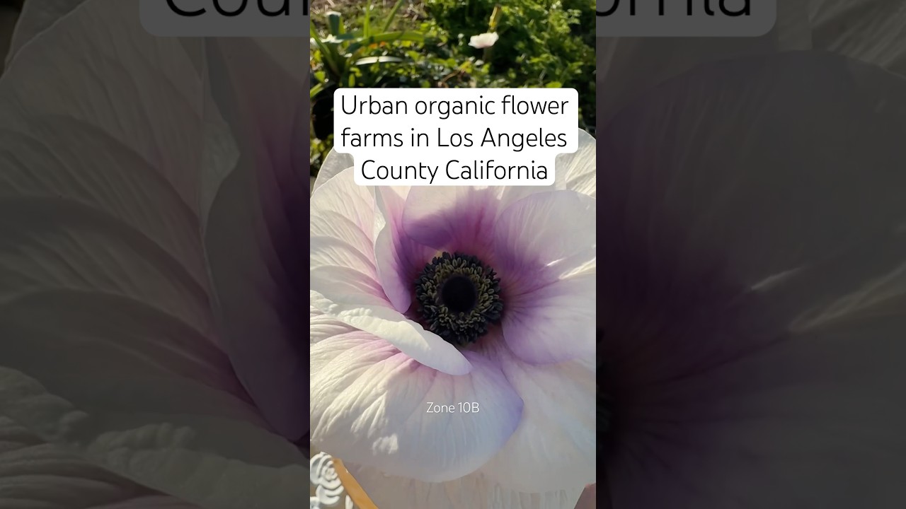 Let’s grow something beautiful together. 