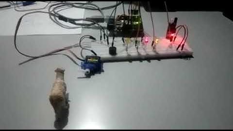 Paso a nivel con barrera y luces