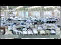 المدينه النبويه  المسجد النبوي  صلاة الليل وليست الفجر 11 7 1436هـ الشيخ احمد طالب حميد