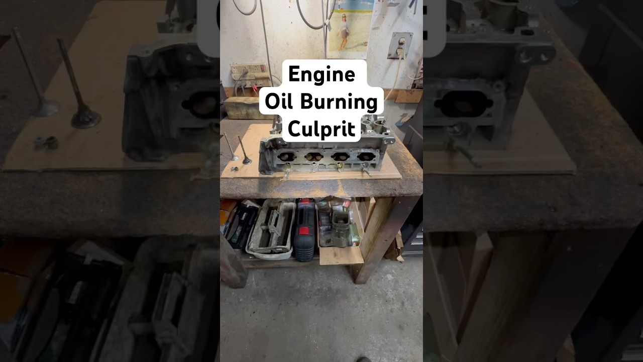 One Major Reason Your Engine Burn Oil - Blue Smoke