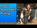 Stop your dog pulling on Leash Immediately