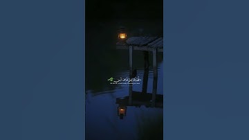 عبدالرحمن مسعد/ تلاوة خاشعة ومؤثرة