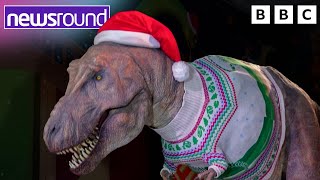 Giant T-Rex in a Christmas Jumper, Kew Gardens Lights and a Gingerbread Competition | Newsround