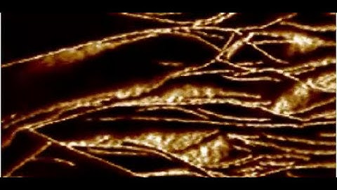 AFM | PHB V Growth at High Temperature Showing Lamellae Outrun Nucleation Events | Bruker