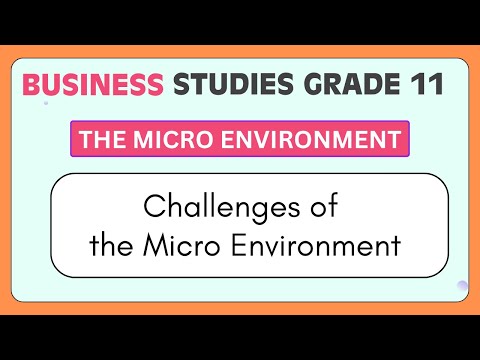 Business Studies Grade 11 | Challenges of the Microenvironment