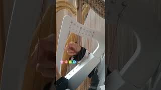 Walter 8string harp  #walter