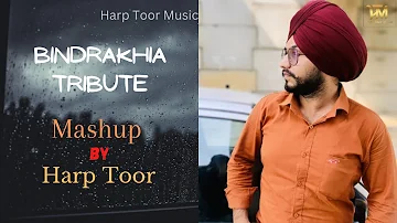 Bindrakhia Tribute | Harp Toor | Remix |Mashup | Punjabi Hit Songs