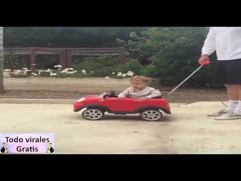 si te ries pierdes, animales 2019 video phone beyonce mp3