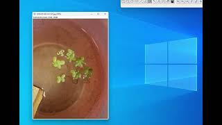 Imagej - Counting Small Items