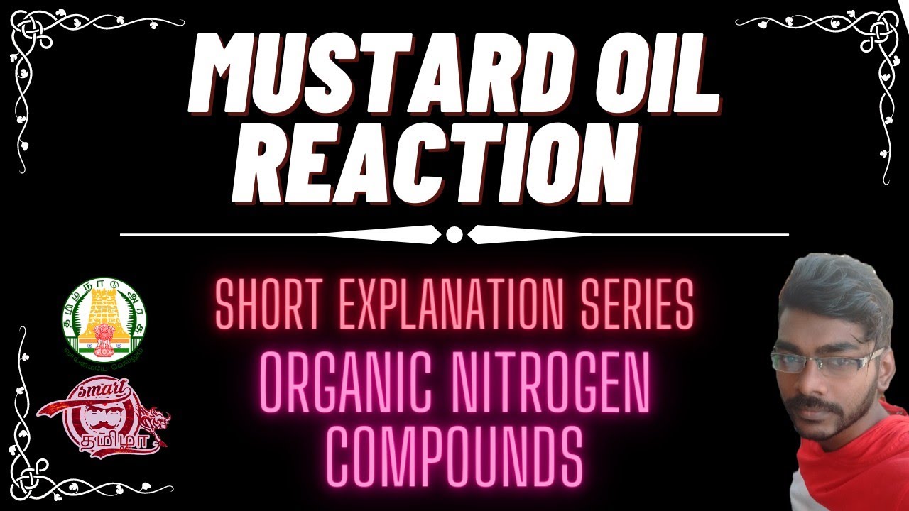 Mustard Oil Reaction 5 Organic Nitrogen compounds Tamil 12th Chemistry I Smart Tamizha