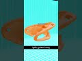 هل يمكن لجمجمة تمساح أن ترد الرصاصة الحقيقة الصادمة صندوق المعلومات معلومات معلومات مهمة