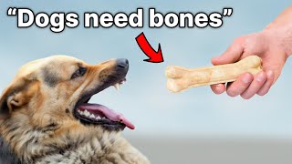 13 Dog Myths You Need To Stop Believing!