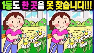 【다른그림찾기/치매예방】1등도 한 곳을 못 찾습니다!【틀린그림찾기/두뇌운동/숨은그림찾기/Find the Difference/치매예방퀴즈】1052