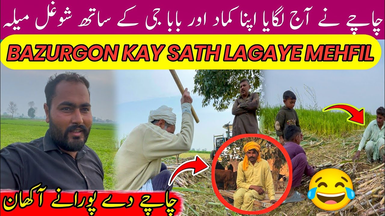 Punjabi Akhaan & Kamad Cutting 😍 | Chache Da Desi Style | Pure Village Life Pakistan Vlog
