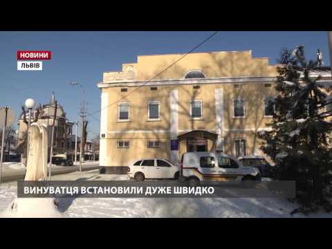 Поліція розповіла деталі моторошної ДТП біля Нового Роздолу на Львівщині