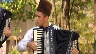Super Mario Theme Song by accordion