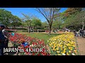 Flower festival in Showa Kinen Park, Tachikawa・4K HDR