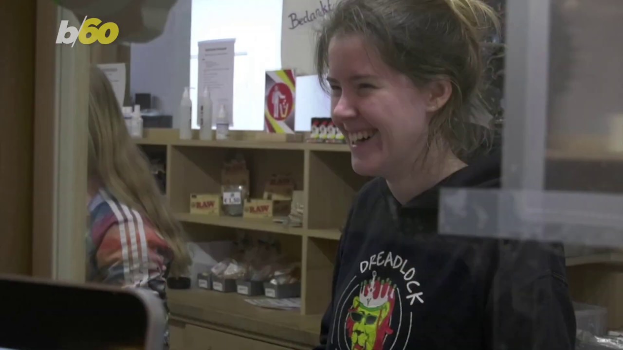 Weed Back on Sale in Dutch Coffee Shops for Takeaway Orders