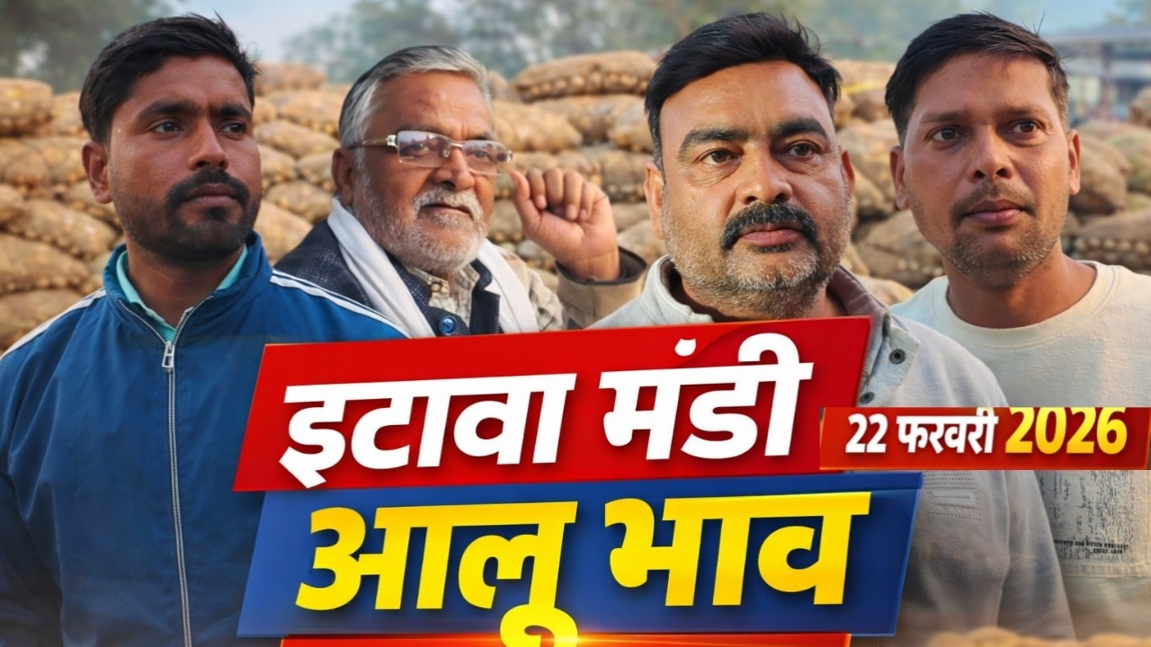 इटावा मंडी आलू भाव 22 फरवरी 2026 | आज क्या रहा ताज़ा रेट? 🥔📈