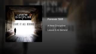 Forever Still - A new discipline