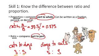 6int 11d Ratio and Proportion